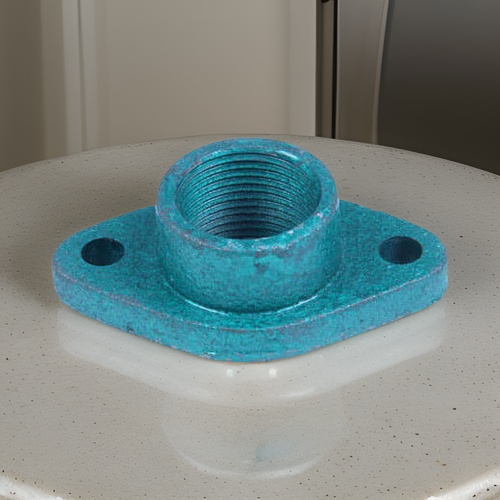 CI Self Priming Flange